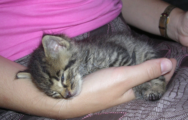 Felix_20050717
