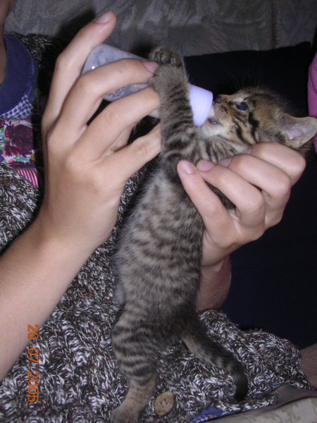 Felix_20050720