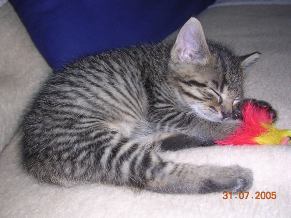 Felix_20050731