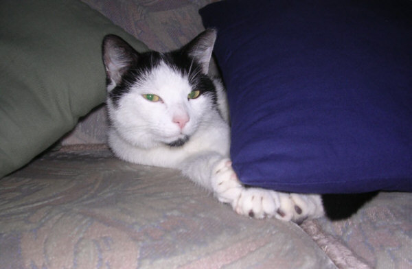 Nero_2005111502