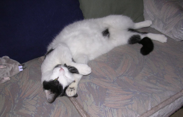 Nero_2005111702