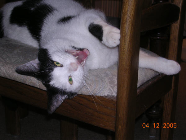 Nero_20051204
