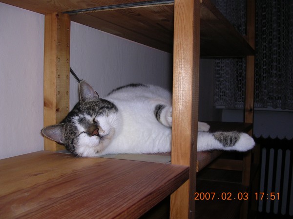 Tinka_20070203