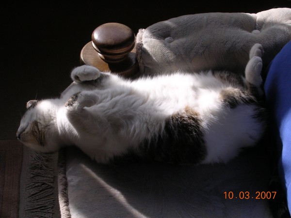 Tinka_20070310